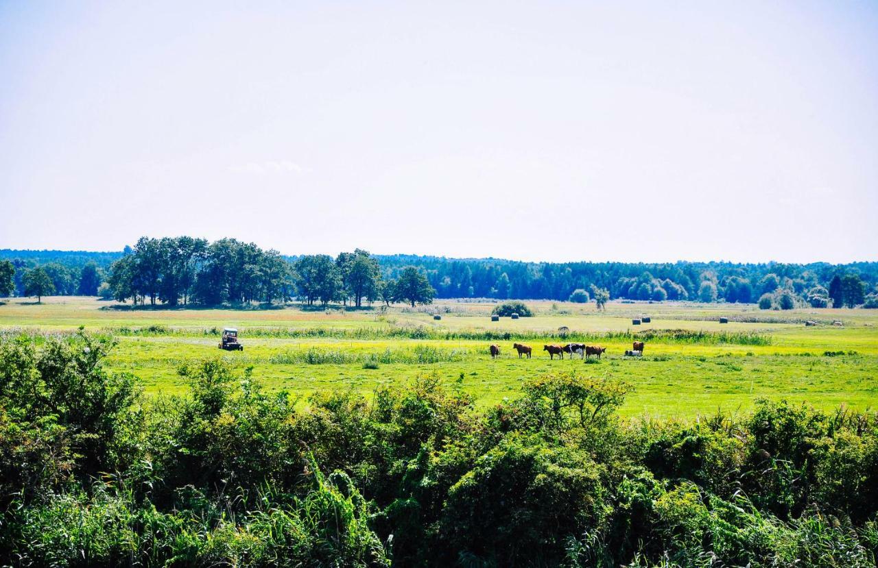 Zwirowa Gora - Domki Nad Narwia ティコチン エクステリア 写真
