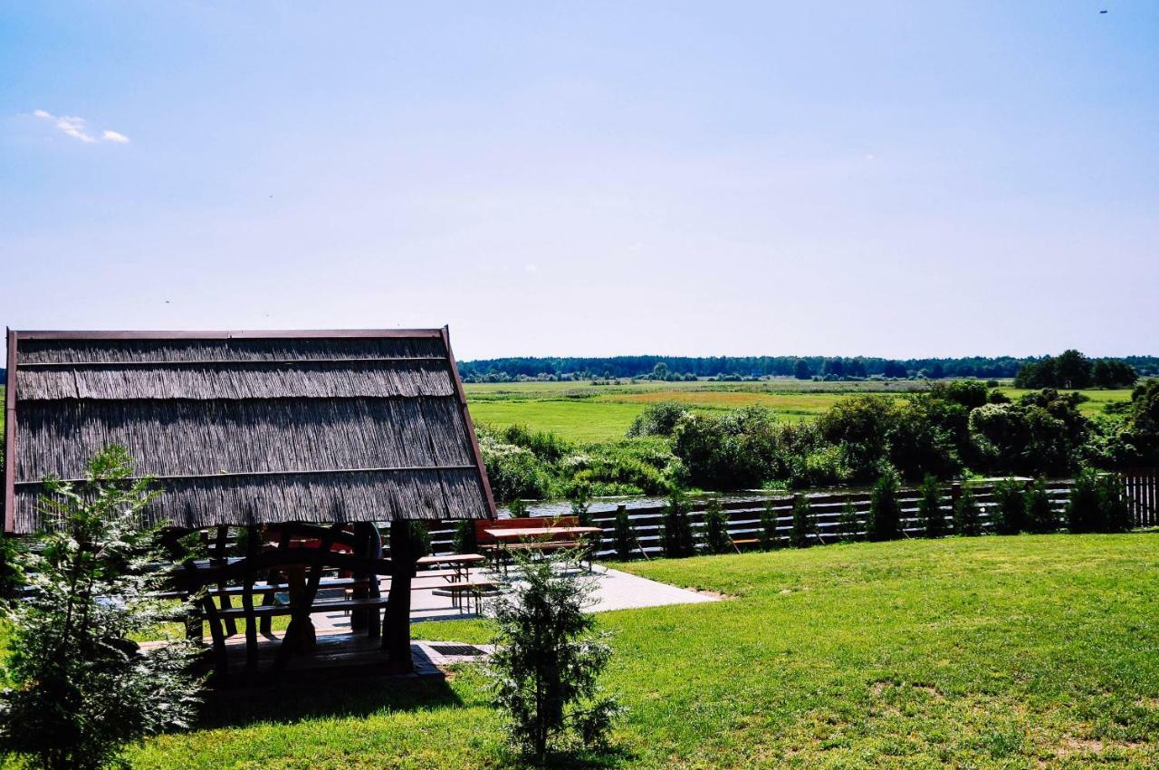 Zwirowa Gora - Domki Nad Narwia ティコチン エクステリア 写真